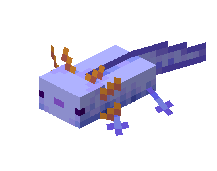 Axolotl